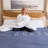 Comfort Foam Mattress-1846461728