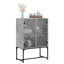 Aanvi Steel Rectangle Accent Cabinet-1763828321