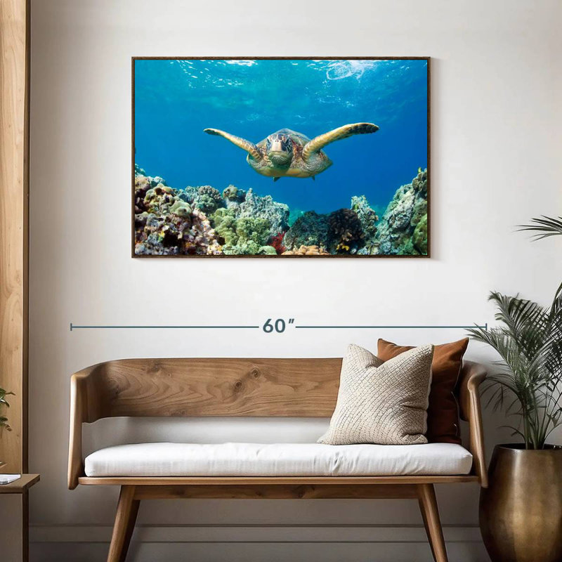 Tortue de mer verte Maui, Cadre flottant noyer, 43 po x 29 po