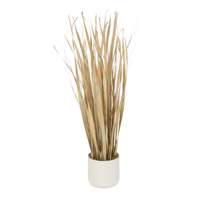 39'' Foliage Grass in Pot