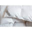 Serenity Goose All Season Down Comforter-1261563300