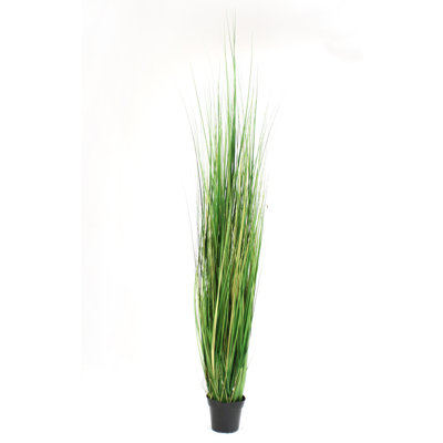 En pot PVC vert herbe en Pot