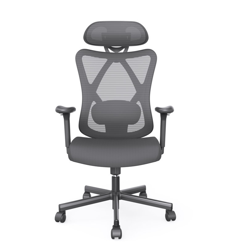 Benjamyn Mesh Task Chair with Headrest, Black