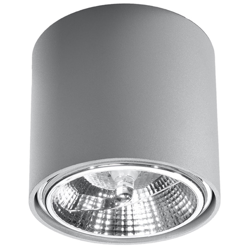 Scotty Flush Mount, Grey