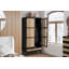 Alleyah 2 Door Wardrobe-2097343100