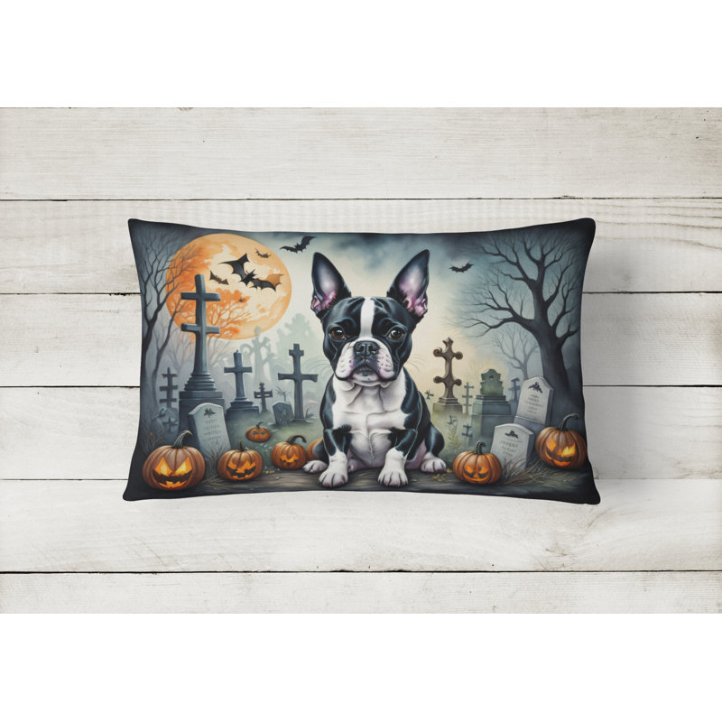 Other/No Pattern Outdoor Throw Pillow