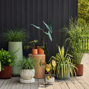 Patio Decor + Accessories