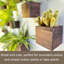 Wood Wall Planter
