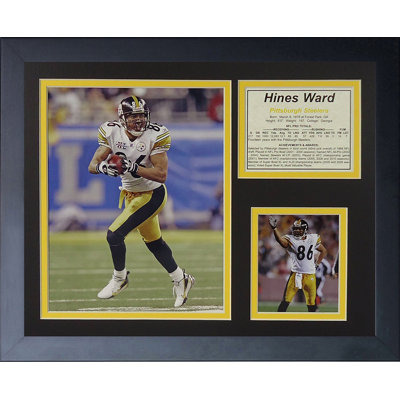 Hines Ward Away Framed Memorabilia