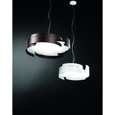 Vulture 1 - Light Drum Pendant