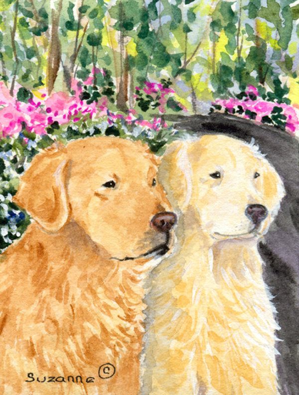 Drapeau de jardin 2 côtés golden retriever