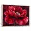Velours bourgogne pivoine douce symphonie II - pivoines, art mural-1851310770-1851310769