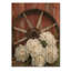 Pivoines par la roue du chariot II - impression de bois de pivoines - sur bois de pin naturel-731498032