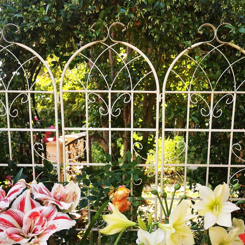 Treillis de jardin en métal et fer antirouille pour plantes d'escalade, H 86,7 po x l 80 po x P 0,51 po, Noir