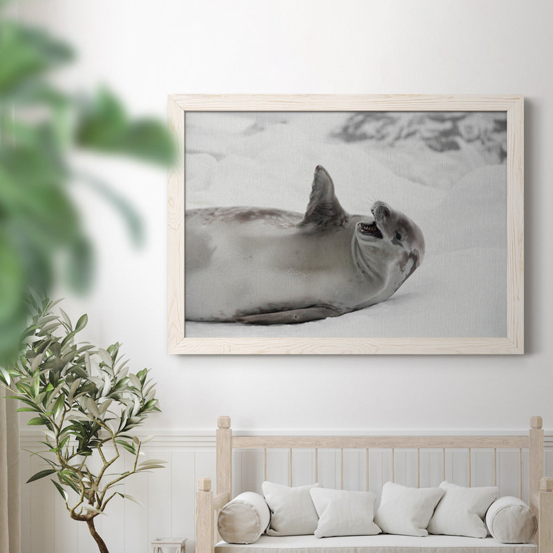 Laughing Seal - photographie encadrée sur toile, H 37,5 po x l 27,5 po x P 1,5 po, Blanc