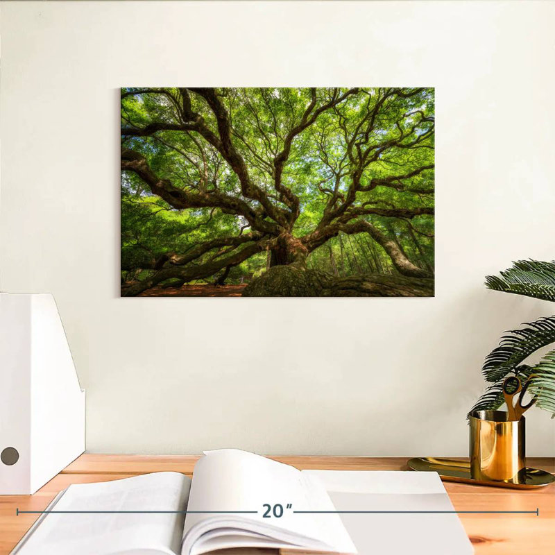Harnek Oak Tree In South Carolina, 8" H x 12" W