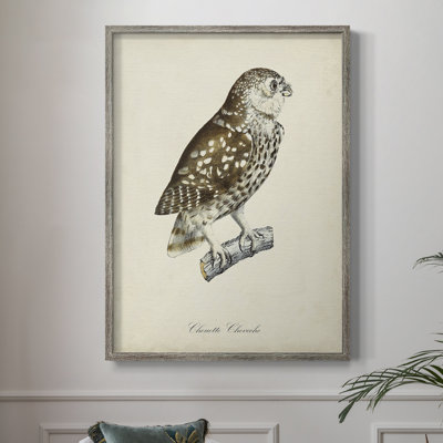 French Owls I Framed Print - Solid Wood