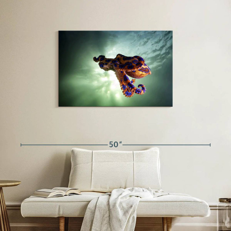 Brampt Underwater Blue Ringed Octopus, 24" H x 36" W