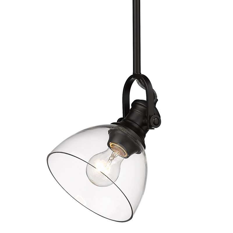 Bales 1 - Light Shaded Pendant, Matte Black, Clear Glass