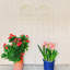 Décoration de jardin extérieure blanche élégante en treillis de fer antirouille - Support polyvalent pour plantes grimpantes