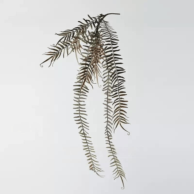 Branche de fougère en cascade - 27,5 po, Natural Green, [A] 1 tige