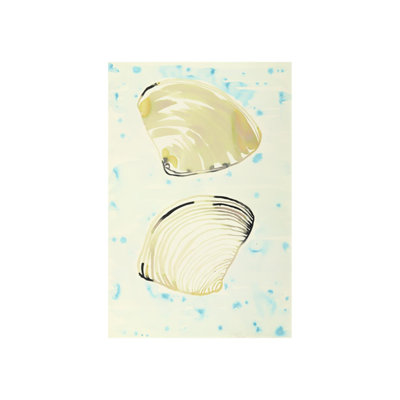 Shells I Print by Hable Construction