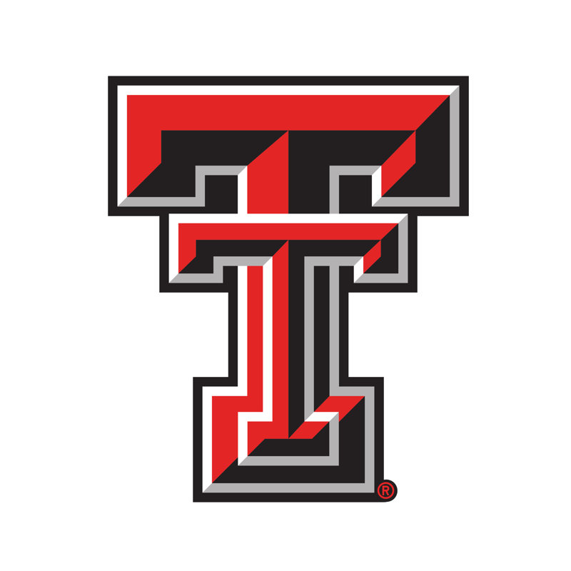 NCAA Modern Wall Decor, Texas Tech University