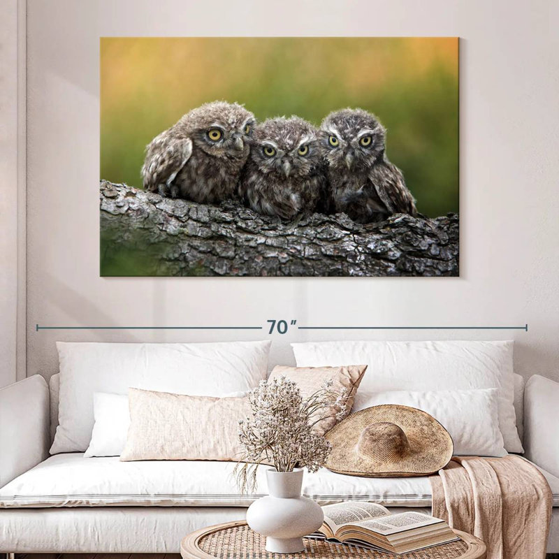 Brampt Snuggling Young Owls, 34" H x 51" W