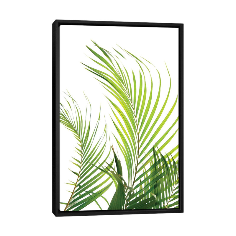 « palm frondes », reproduction d’impression sur toile, H 26 po x l 18 po x P 1,5 po, Toile encadrée noire, Pas de tapis