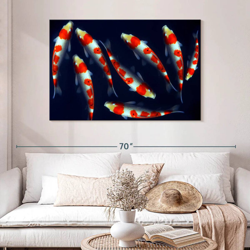 Poissons koi Brampt Sleek, H 30 po x l 45 po