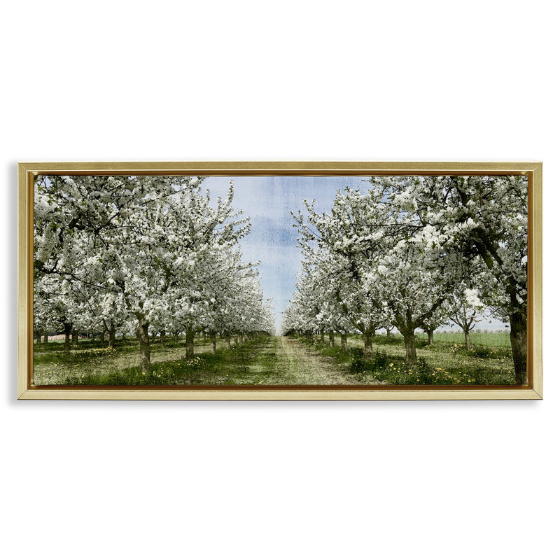 Arbre blanc en fleurs, Cadre flottant métallique doré, H 14 po x l 31 po
