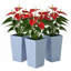 Ensemble de 3 boîtes à plantes, grandes jardinières, pots à plantes