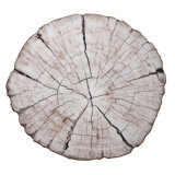 Birch Placemat