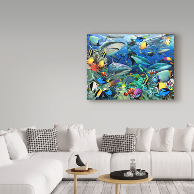 « requin récif », reproduction d’impression sur toile tendue