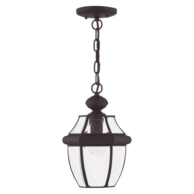 Alexavier Outdoor Hanging Lantern