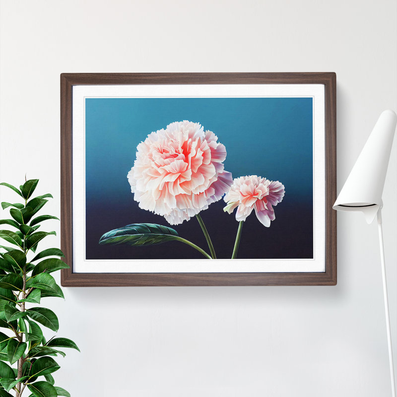 Wild Carnation Flowers - Framed Print, 46cm H x 64cm W x 2cm D, Walnut Framed