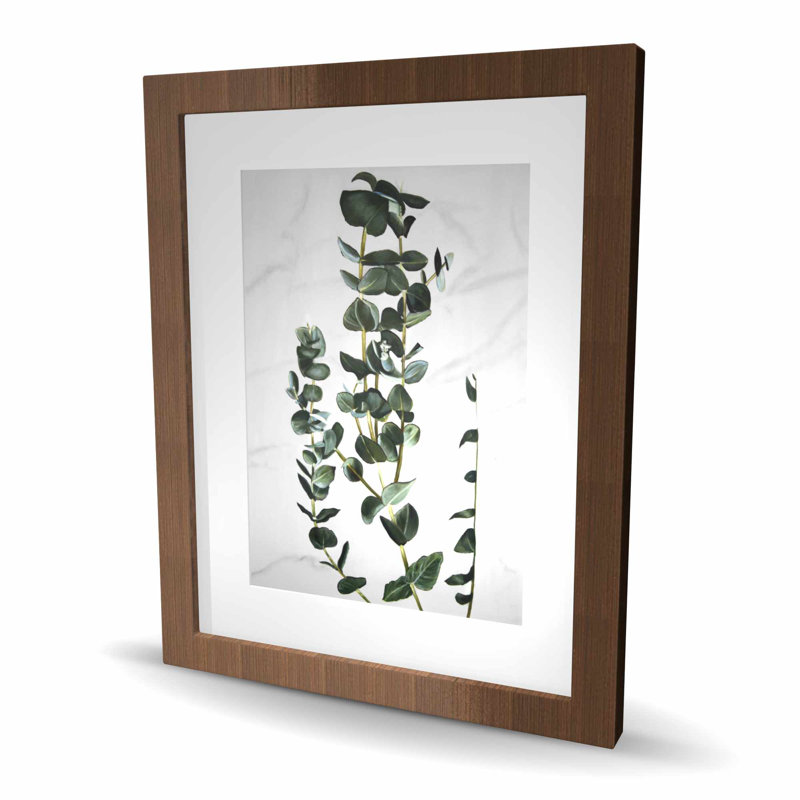 Eucalyptus Stems - Botanical Framed Print for Home Decor