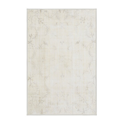 Oriental Indoor Rug