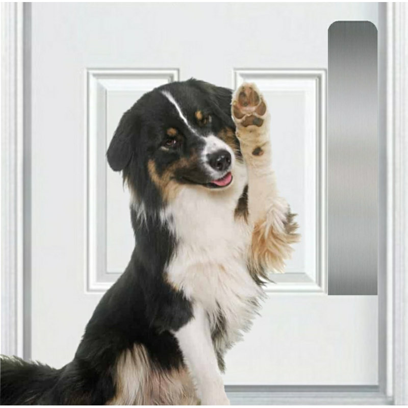 Accessoire de porte pour animaux Acropolis, Nickel satiné, H 22 po x l 6 po x P 0,05 po