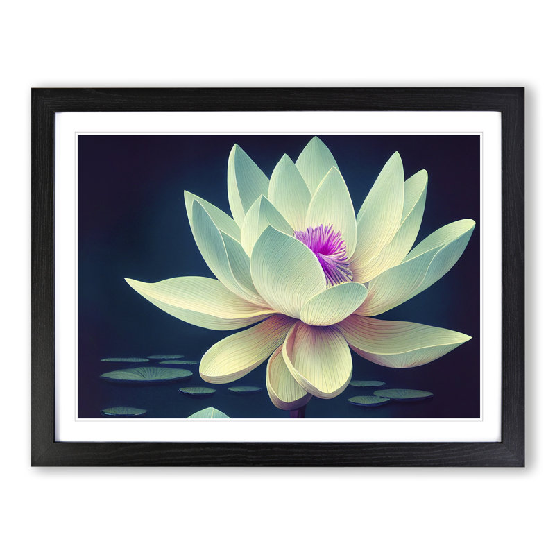 Splendorous Lotus Flower - Framed Print, Black, 46cm H x 64cm W x 2cm D