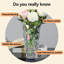 Cacie Glass Table Vase-1231100439