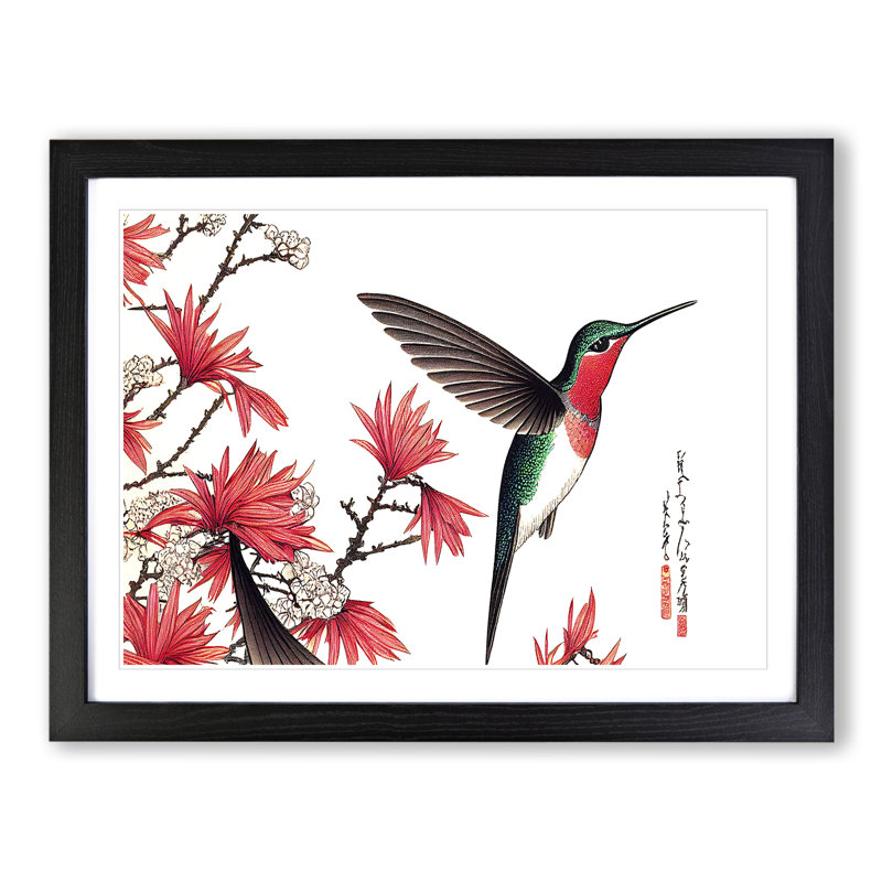 Japanese Hummingbird - Single Picture Frame Print, Black, 46cm H x 64cm W x 2cm D