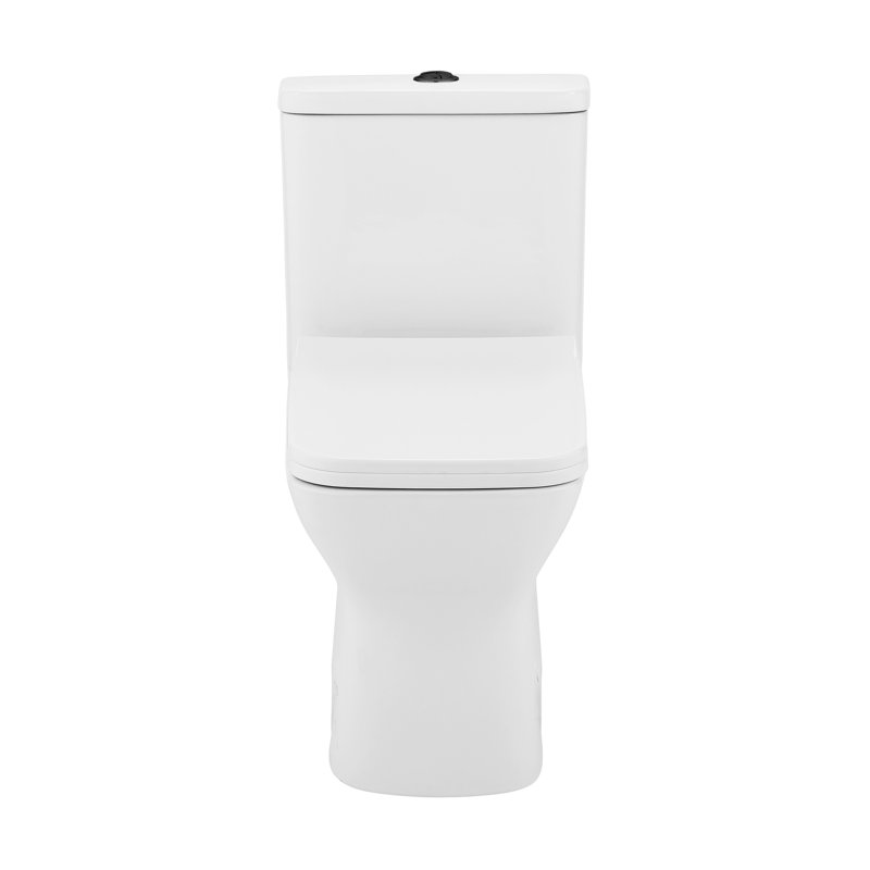 Carre One Piece Square Toilet Dual Flush, Black/White