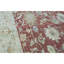 Ziegler Wool Oriental Area Rug in Rust/Beige