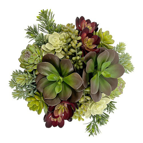 12" Succulent Arrangement