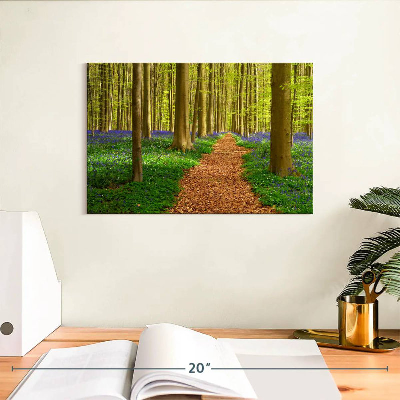 Chemin de hêtre Alvord Hallerbos, H 8 po x l 12 po