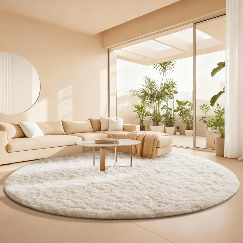 5x5 ft Cream White Round Rug for Bedroom Room Fluffy Circle Rug Furry Carpet Shaggy Circular Fuzzy Washable Non-Slip Large Area Rug Soft Indoor for Living Room Cute Aesthetic Home Decor