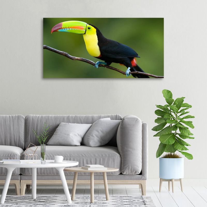 Toucan - No Frame Print on Canvas