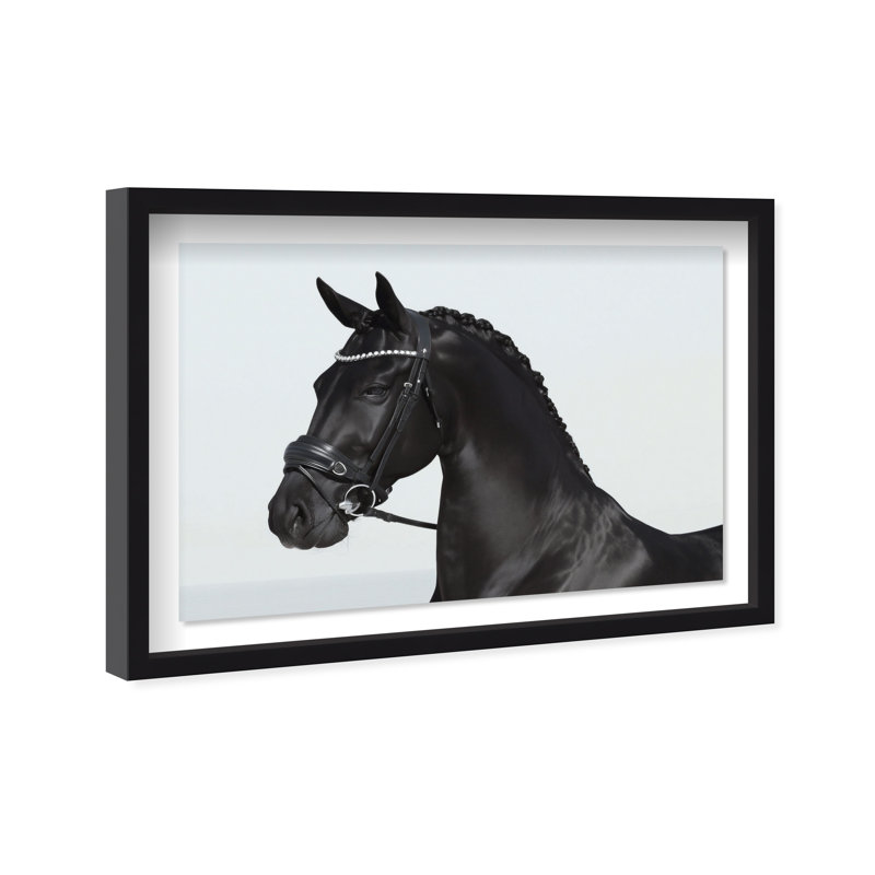 Midnight Majesty II Framed Graphic Art, 11.5"H x 16.5"W, Black Shadowbox