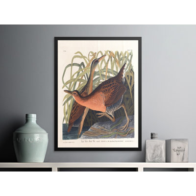 Jarrod Print